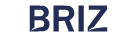 Логотип BRIZ